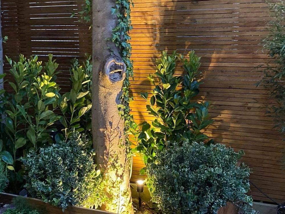 Garden uplighters lighting a tree trunk and planting against a slatted timber fence at night